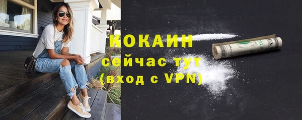 мяу мяу мука Горно-Алтайск