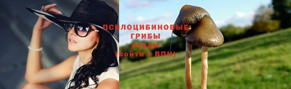 мяу мяу мука Горно-Алтайск