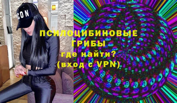 гидропоника Горняк