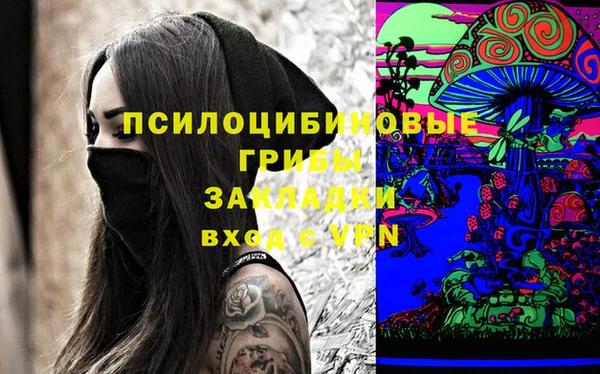 марки nbome Гусев