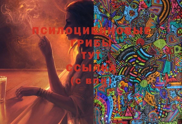 гидропоника Горняк