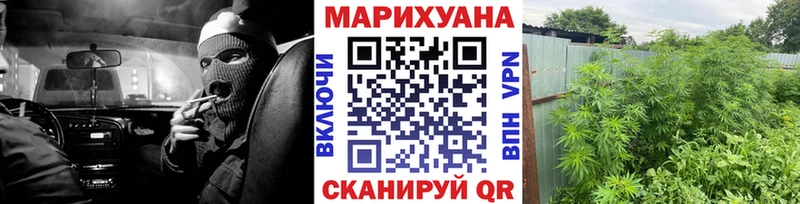 Купить закладки  Нестеров  Канабис White Widow 